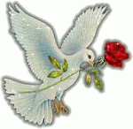 الصورة الرمزية وادي الخليج